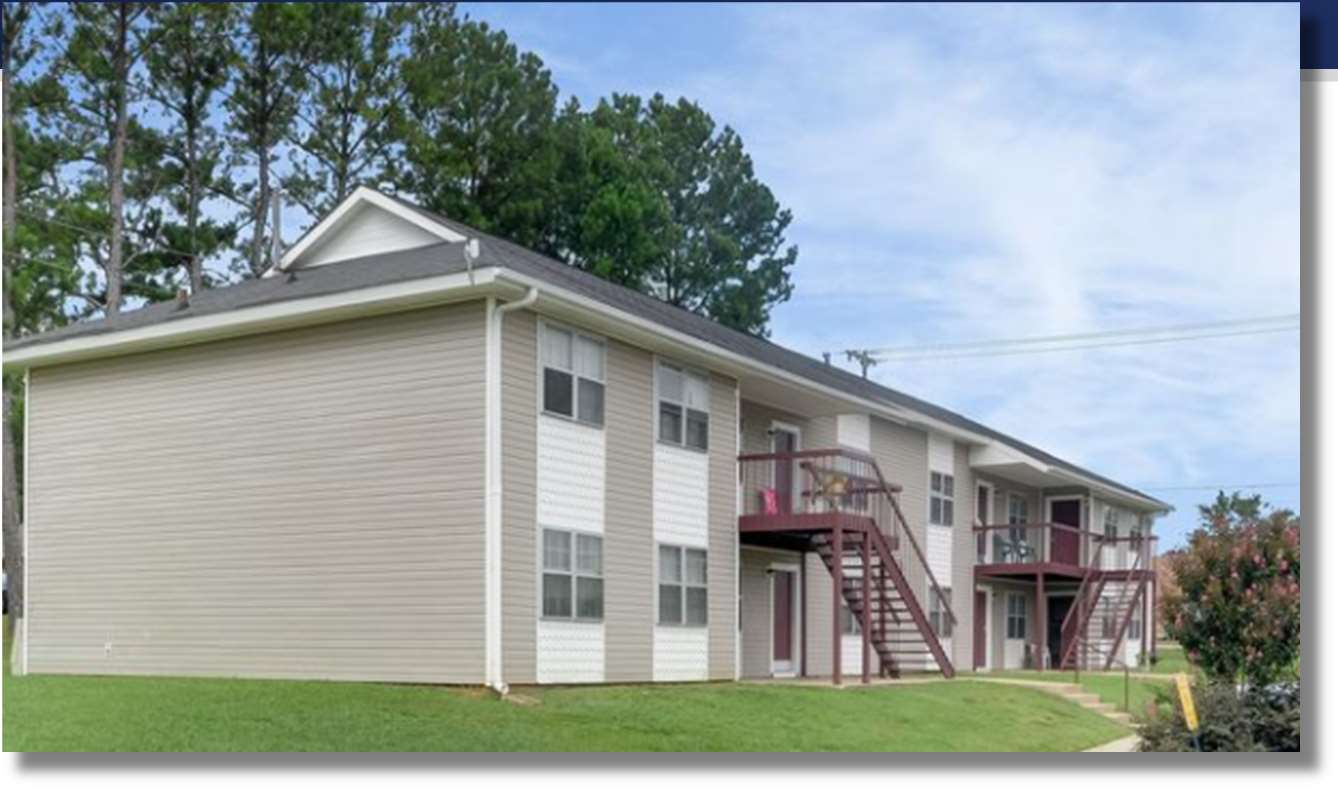 Treetop✳︎ Treetop | Portfolio